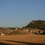UGTCyL reclama la presencia de UPA y COAG en la Mesa de Ordenación del Territorio
